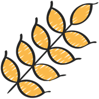 Allergene: Glutine